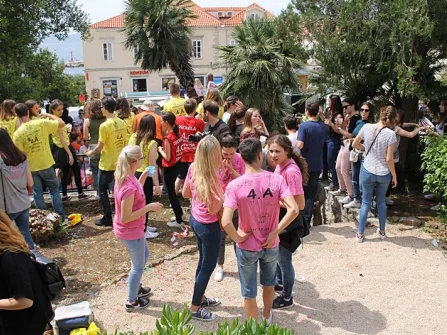 Opis slike