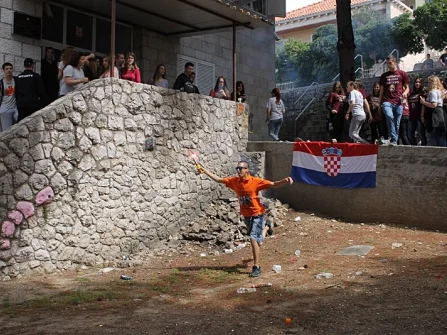 Opis slike