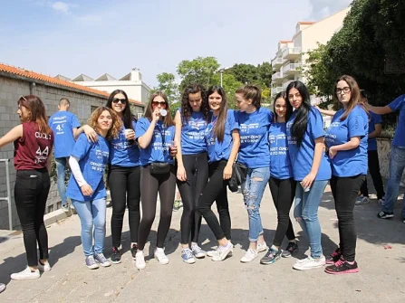 Opis slike