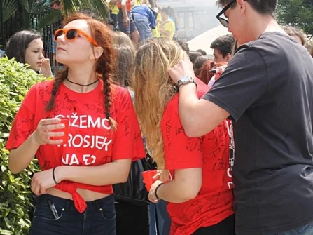 Opis slike