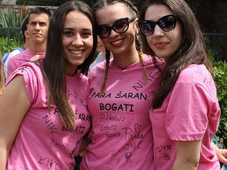 Opis slike