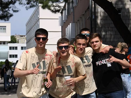Opis slike