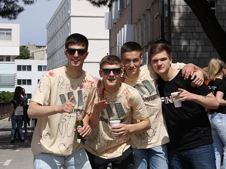 Opis slike