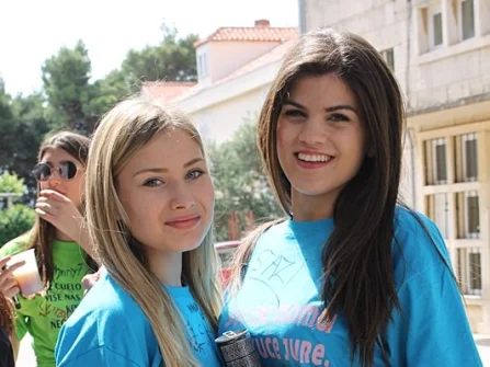 Opis slike