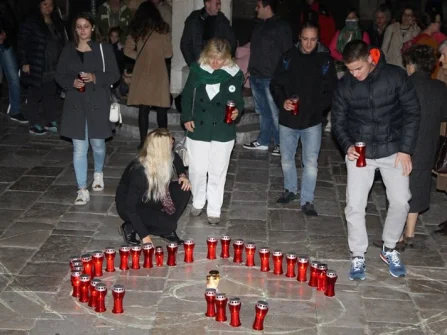 Opis slike