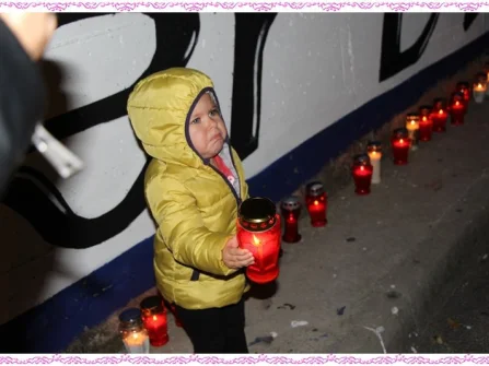 Opis slike