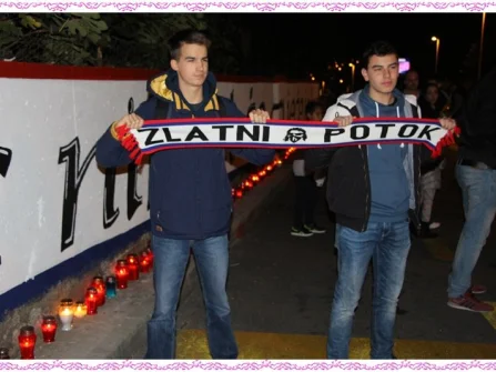 Opis slike
