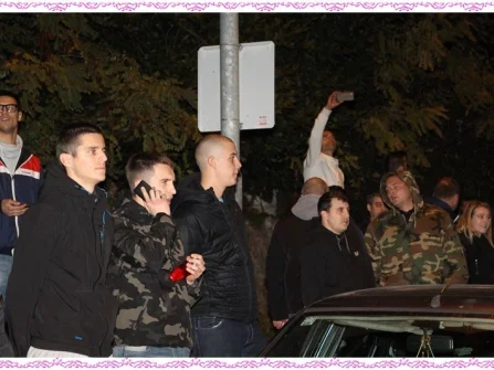 Opis slike