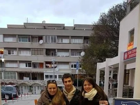 Opis slike
