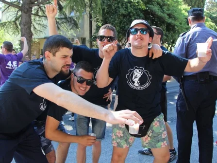 Opis slike