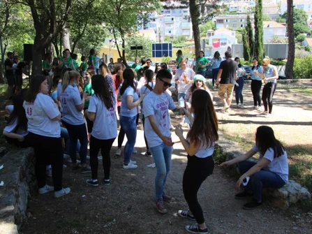 Opis slike