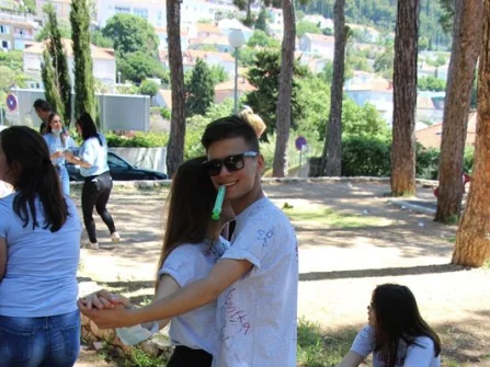 Opis slike